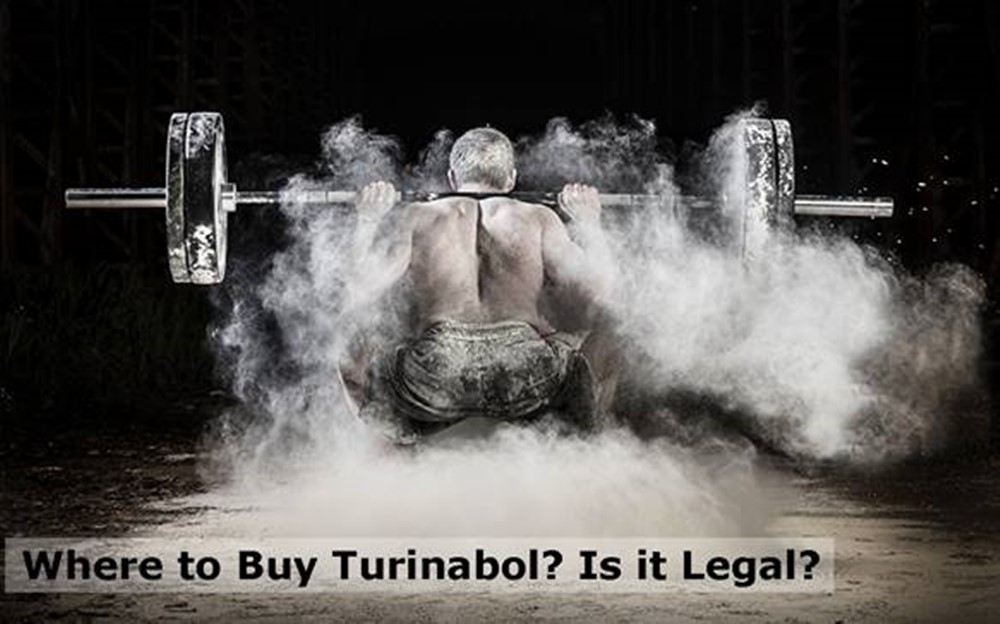 Where to Buy Turinabol? Is it Legal?