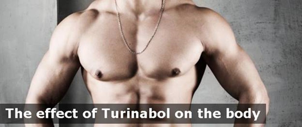 The effect of Turinabol on the body