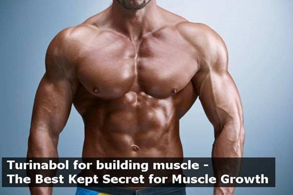 Turinabol for building muscle - The Best Kept Secret for Muscle Growth