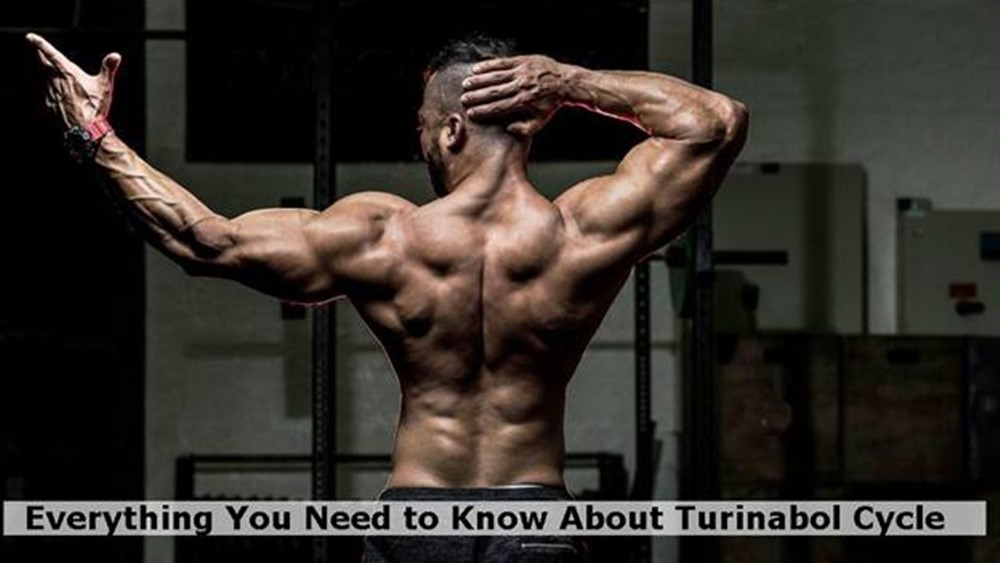 Everything You Need to Know About Turinabol Cycle