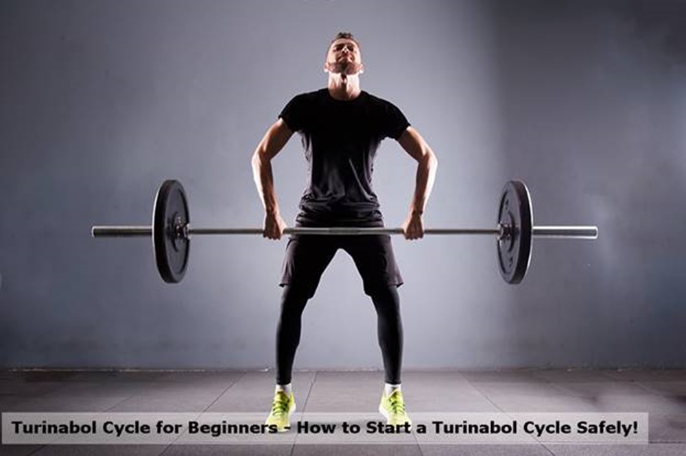 Turinabol Cycle for Beginners - How to Start a Turinabol Cycle Safely!