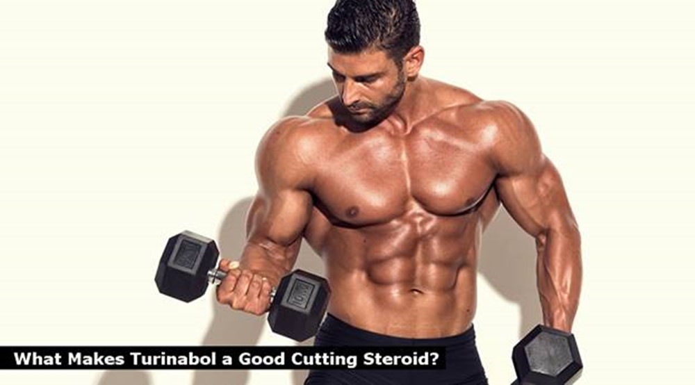 What Makes Turinabol a Good Cutting Steroid?